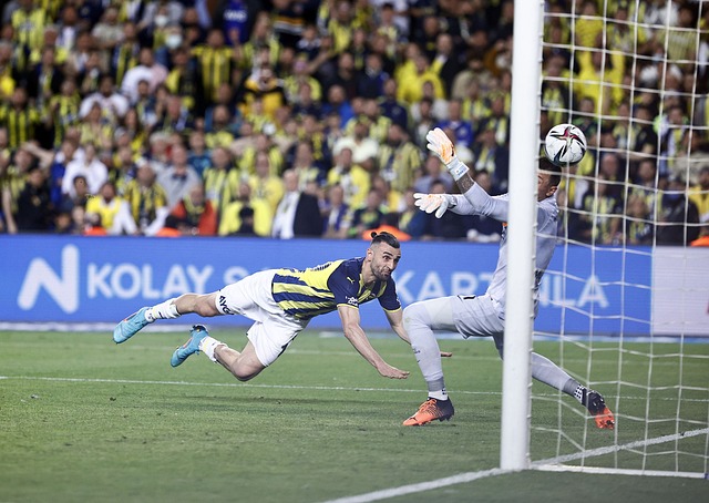 整体优于个 整体优于个