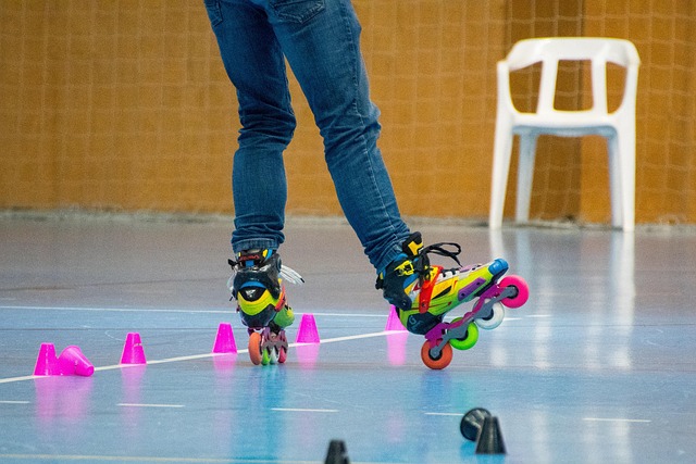 体的典范 体的典范