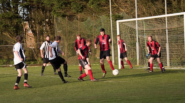 冼拿勇闖八 冼拿勇闖八