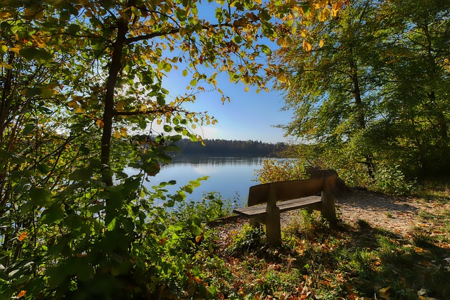 網球／辛納只遭禁賽3個月 約克維奇批頂尖球星受到偏袒.